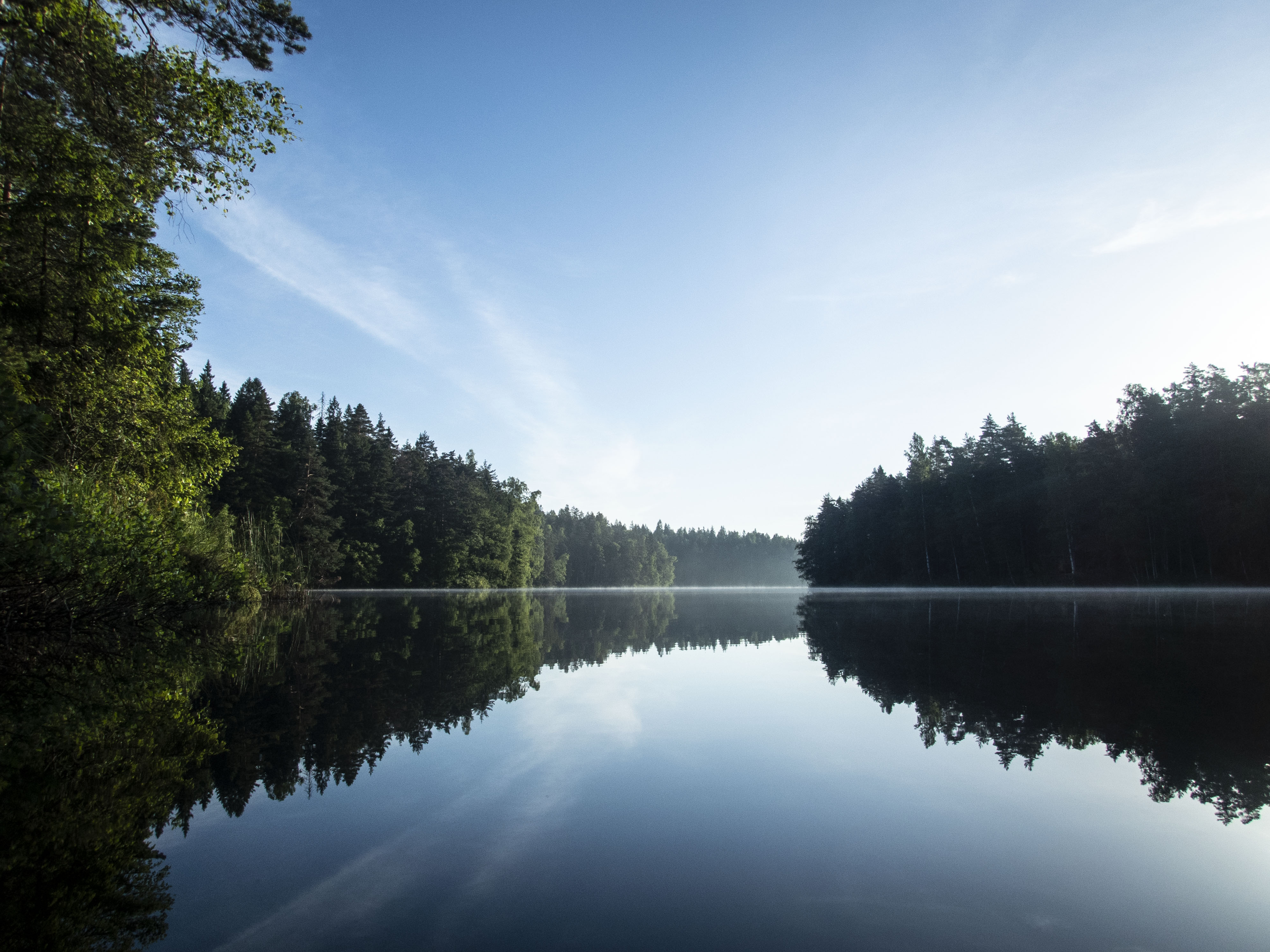 Still water reflecting a peaceful wooded shore